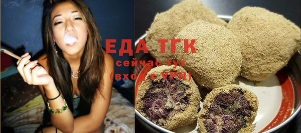 хмурый Абаза