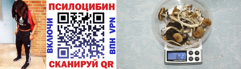 Галлюциногенные грибы прущие грибы продажа наркотиков Дрезна